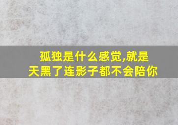 孤独是什么感觉,就是天黑了连影子都不会陪你