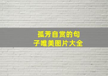 孤芳自赏的句子唯美图片大全