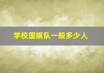 学校国旗队一般多少人