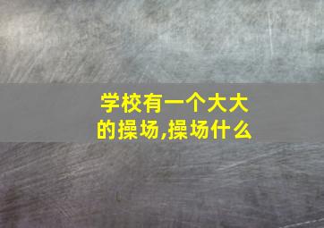 学校有一个大大的操场,操场什么