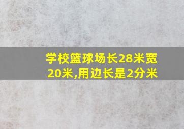 学校篮球场长28米宽20米,用边长是2分米