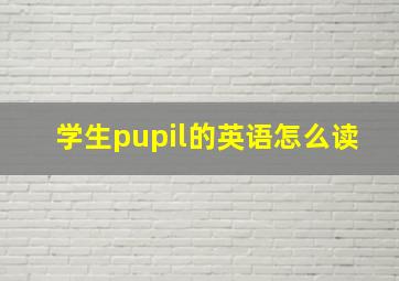 学生pupil的英语怎么读