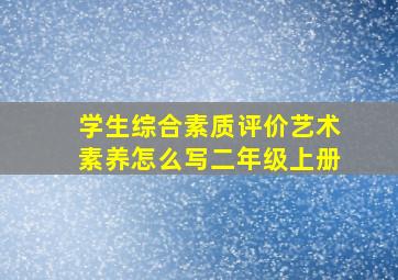 学生综合素质评价艺术素养怎么写二年级上册