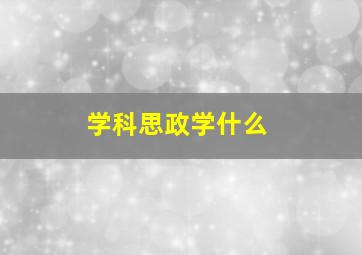 学科思政学什么