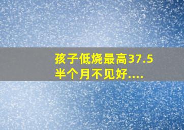 孩子低烧最高37.5半个月不见好....