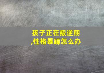 孩子正在叛逆期,性格暴躁怎么办