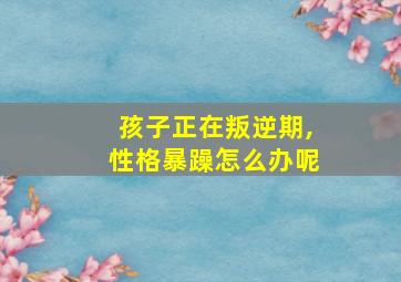 孩子正在叛逆期,性格暴躁怎么办呢