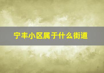 宁丰小区属于什么街道