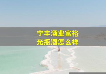 宁丰酒业富裕光瓶酒怎么样