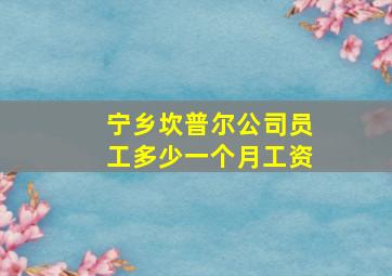 宁乡坎普尔公司员工多少一个月工资