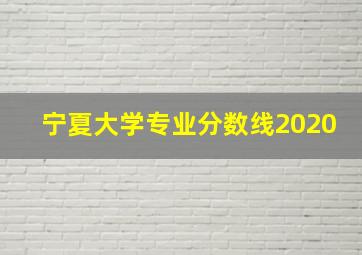 宁夏大学专业分数线2020