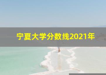 宁夏大学分数线2021年