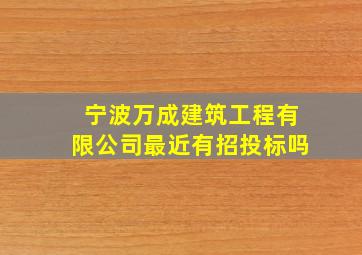 宁波万成建筑工程有限公司最近有招投标吗