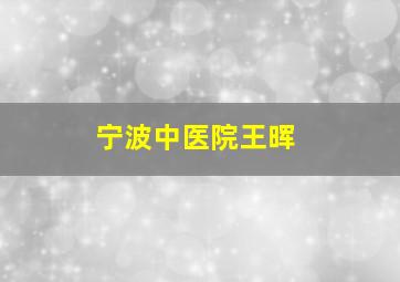 宁波中医院王晖