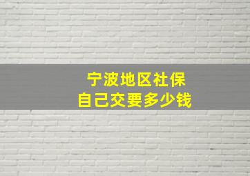 宁波地区社保自己交要多少钱