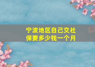 宁波地区自己交社保要多少钱一个月