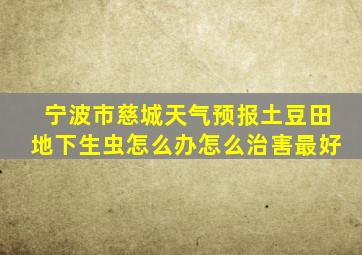 宁波市慈城天气预报土豆田地下生虫怎么办怎么治害最好