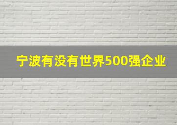 宁波有没有世界500强企业