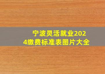 宁波灵活就业2024缴费标准表图片大全