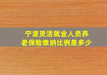 宁波灵活就业人员养老保险缴纳比例是多少