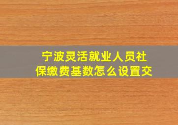 宁波灵活就业人员社保缴费基数怎么设置交