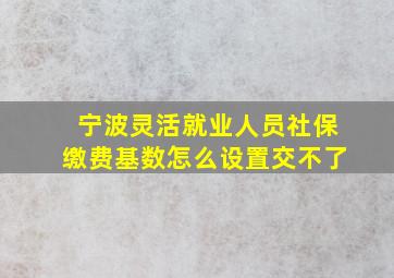 宁波灵活就业人员社保缴费基数怎么设置交不了