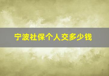 宁波社保个人交多少钱