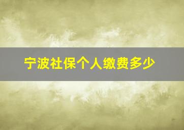 宁波社保个人缴费多少