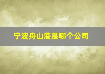 宁波舟山港是哪个公司