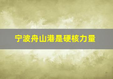 宁波舟山港是硬核力量