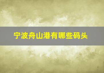 宁波舟山港有哪些码头