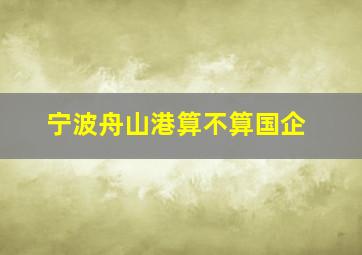 宁波舟山港算不算国企