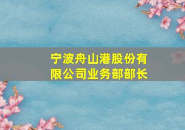 宁波舟山港股份有限公司业务部部长