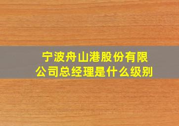 宁波舟山港股份有限公司总经理是什么级别