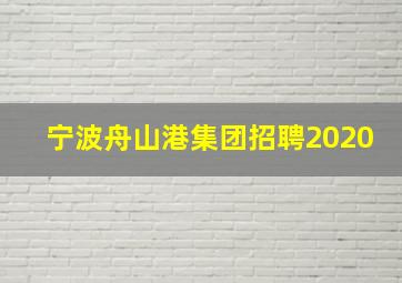 宁波舟山港集团招聘2020