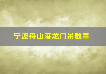 宁波舟山港龙门吊数量