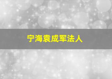 宁海袁成军法人