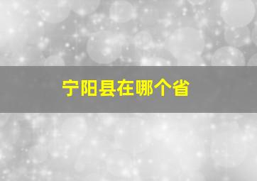 宁阳县在哪个省