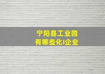 宁阳县工业园有哪些化I企业