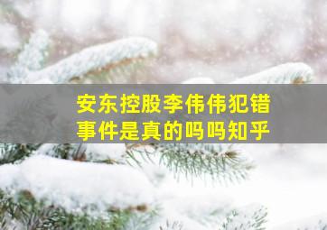 安东控股李伟伟犯错事件是真的吗吗知乎