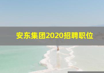 安东集团2020招聘职位