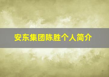 安东集团陈胜个人简介