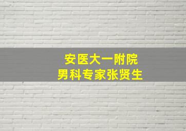 安医大一附院男科专家张贤生