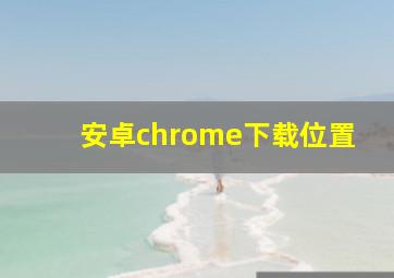 安卓chrome下载位置