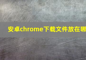 安卓chrome下载文件放在哪