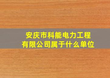 安庆市科能电力工程有限公司属于什么单位