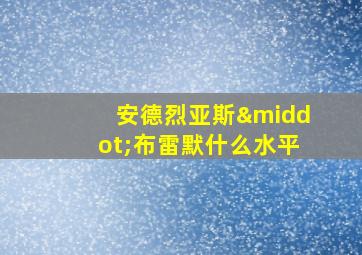 安德烈亚斯·布雷默什么水平