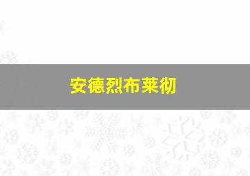 安德烈布莱彻