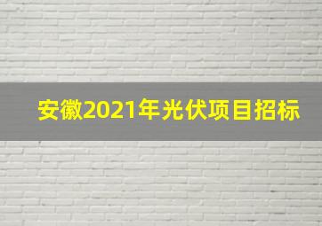 安徽2021年光伏项目招标