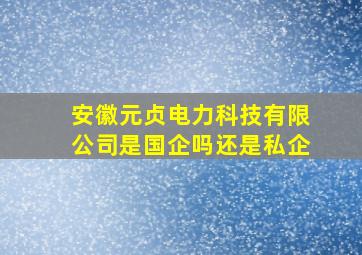 安徽元贞电力科技有限公司是国企吗还是私企